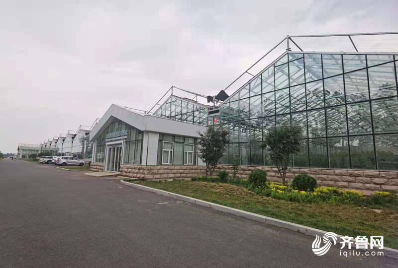 高端智庫看山東 如何豐富“壽光模式”內涵？專家支招 結合新發展機遇，用數字經濟賦能產業，推廣新材料技術